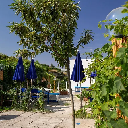 Mati Maison
